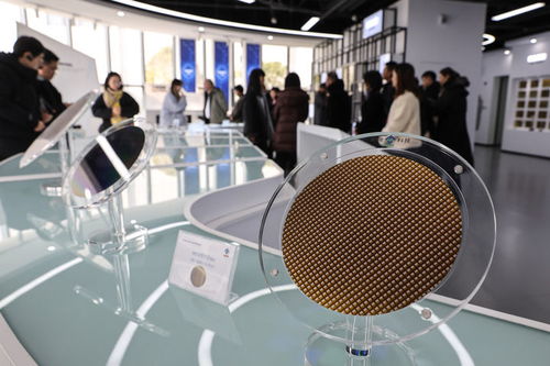 不止于常 淀粉的多维世界与未来可能